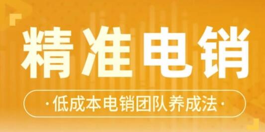 张烜搏《精准电销》电话销售技巧，低成本电销团队养成法