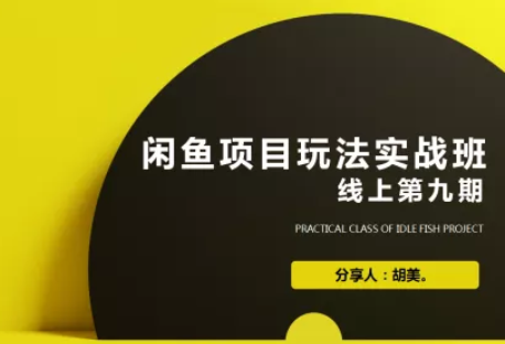 闲鱼项目玩法第9期蓝海营销项目，从0到1实操教您如何批量化去玩（完整版）