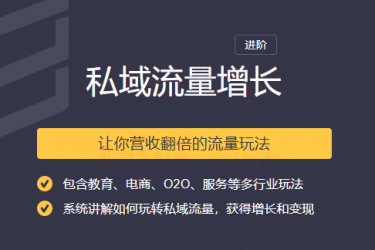 2020私域流量增长让你营收翻倍的流量课程