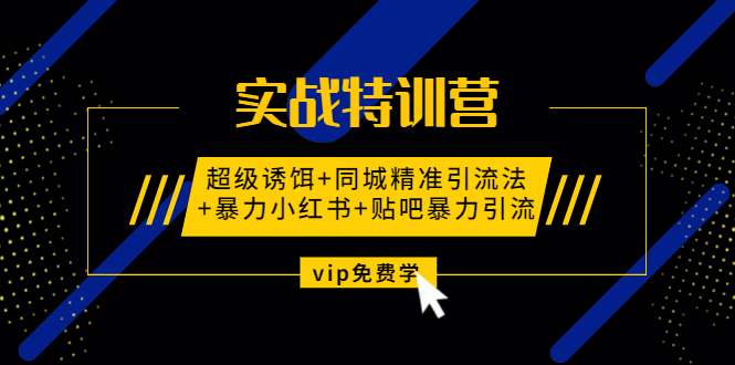 实战特训营:超级诱饵+同城精准引流法+暴力小红书+贴吧暴力引流（视频课程）