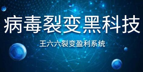 王六六裂变盈利系统课程第六课，病毒裂变黑科技