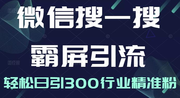 微信搜一搜霸屏引流课，打造被动精准引流系统，轻松日引300行业精准粉