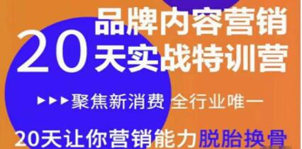 《品牌内容营销实战特训营》20天让你营销能力脱胎换骨