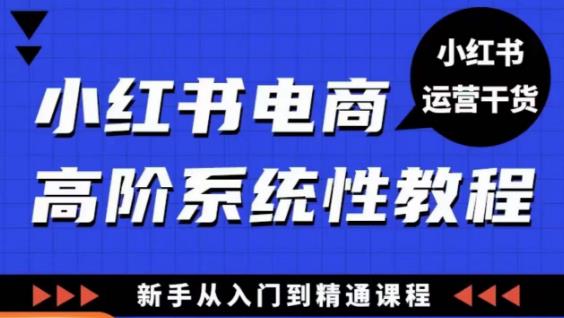 小红书电商高阶系统教程，新手从入门到精通系统课