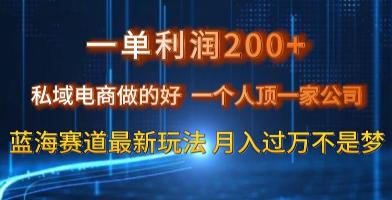 一单利润200私域电商做的好，一个人顶一家公司蓝海赛道最新玩法【揭秘】