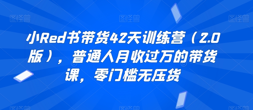 小Red书带货42天训练营（2.0版），普通人月收过万的带货课，零门槛无压货