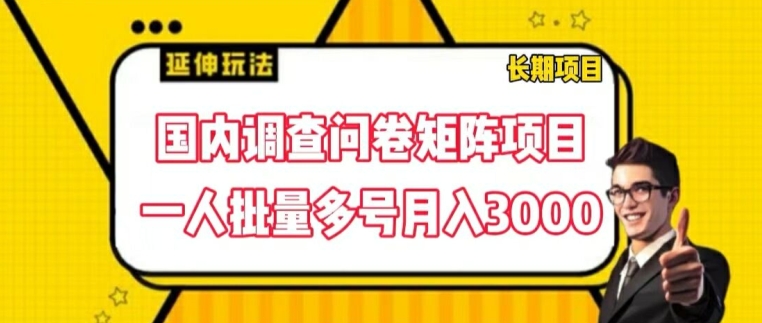 国内调查问卷矩阵项目，一人批量多号月入3000【揭秘】