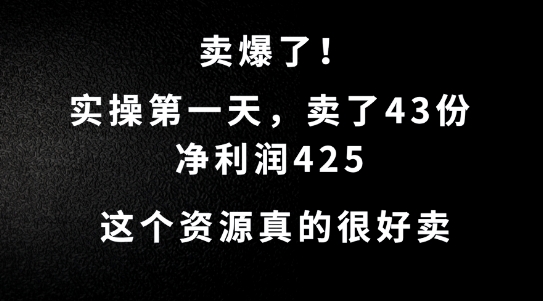 这个资源，需求很大，实操第一天卖了43份，净利润425【揭秘】