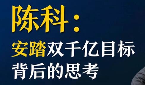 安踏企业战略，双千亿目标背后的战略思考插图